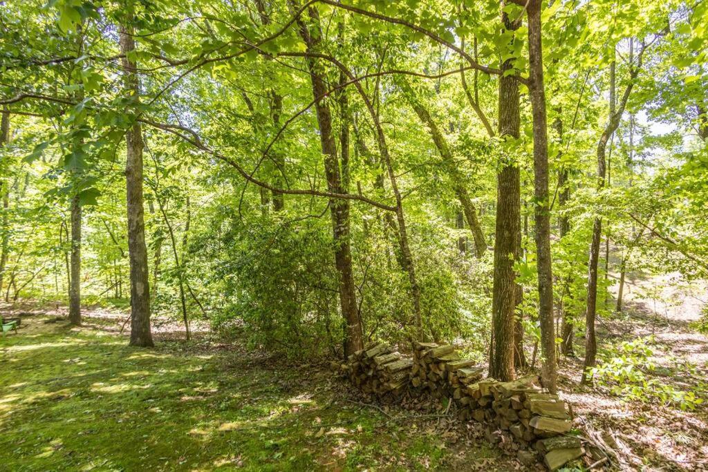 Pet Friendly Luxury Cabin Near Helen With Fire Pit Cleveland Exterior photo